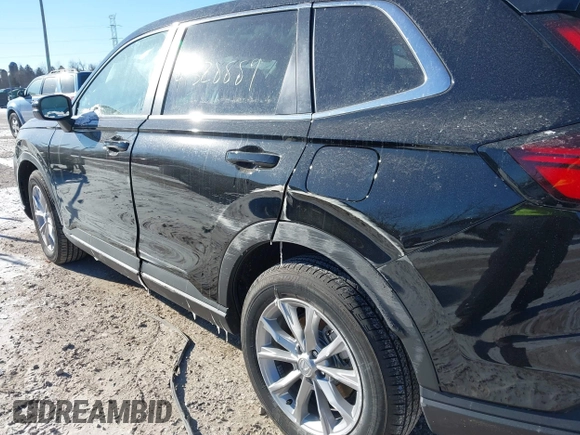 2025 Honda CR-V EX with VIN 7FARS4H48SE004399, listed as a IAAI auction lot 41328889 with Not Provided miles and . Bid and sale history available at DreamBid. Image 6.