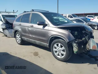 2009 Honda CR-V EX-L with VIN 5J6RE38729L018050, listed as a IAAI auction lot 41982215 with 144,163 mi miles and . Bid and sale history available at carsss.com. Image 1.