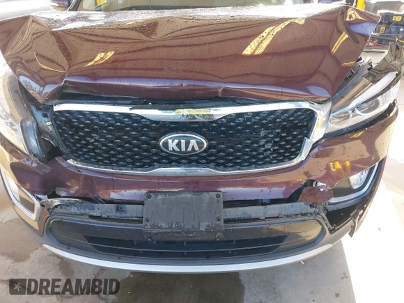 2016 Kia Sorento EX with VIN 5XYPHDA57GG181613, listed as a IAAI auction lot 42020545 with 173,439 mi miles. Bid and sale history available at carsss.com. Image 6.