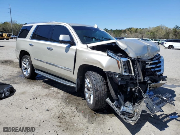 2016 Cadillac Escalade Luxury Collection with VIN 1GYS4BKJXGR175502, listed as a Copart auction lot 50012785 with 204,862 mi miles and Salvage Title. Bid and sale history available at carsss.com. Image 4.