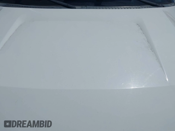 2011 Ford F-150 XL with VIN 1FTEX1EM3BFB36917, listed as a IAAI auction lot 42810657 with 233,059 mi miles and . Bid and sale history available at DreamBid. Image 6.