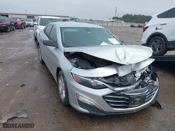 2019 Chevrolet Malibu LS with VIN 1G1ZB5ST8KF180066, listed as a IAAI auction lot 41460649 with 119,656 mi miles. Bid and sale history available at carsss.com. Image 1.