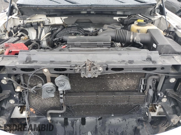 2014 Ford F-150 XL with VIN 1FTEX1EM7EFB23883, listed as a Copart auction lot 55429125 with 74,002 mi miles and Salvage title. Bid and sale history available at DreamBid. Image 11.