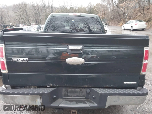 2012 Ford F-150 XL with VIN 1FTFX1EF5CFB82112, listed as a IAAI auction lot 41683025 with 202,686 mi miles and . Bid and sale history available at DreamBid. Image 16.