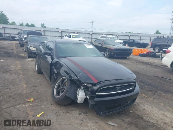 2014 Ford Mustang V6 z VIN 1ZVBP8AM0E5218029, wystawiony jako IAAI lot #42296906 z przebiegiem 170 454 mil mil oraz . Historia ofert i sprzedaży dostępna na DreamBid. Obrazek 1.