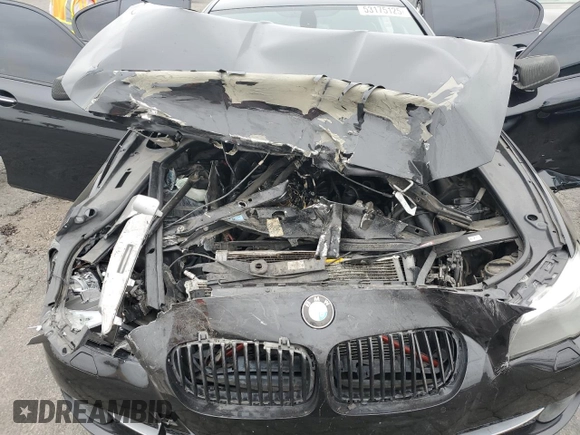 2011 BMW 5 Series 535i with VIN WBAFR7C50BC604078, listed as a Copart auction lot 53175125 with 212,647 mi miles and Salvage Title. Bid and sale history available at carsss.com. Image 11.