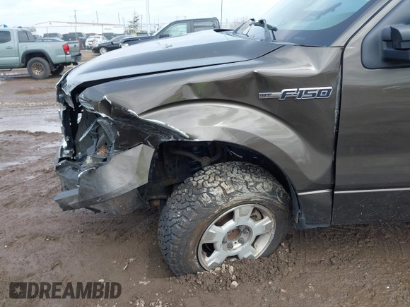 2009 Ford F-150 XL with VIN 1FTRF12W49KB41698, listed as a IAAI auction lot 41949081 with 161,561 mi miles and . Bid and sale history available at DreamBid. Image 6.