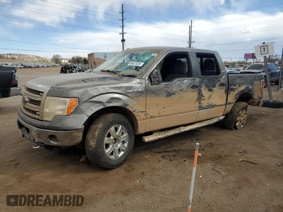 2013 Ford F-150 XL with VIN 1FTFW1EF3DFA22301, listed as a Copart auction lot 49437525 with Not Provided miles and Salvage Title. Bid and sale history available at DreamBid. Image 1.