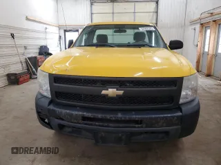 2011 Chevrolet Silverado 1500 Work Truck with VIN 1GCNCPEX1BZ199361, listed as a Copart auction lot 54562325 with 200,999 mi miles and Clean Title. Bid and sale history available at DreamBid. Image 5.