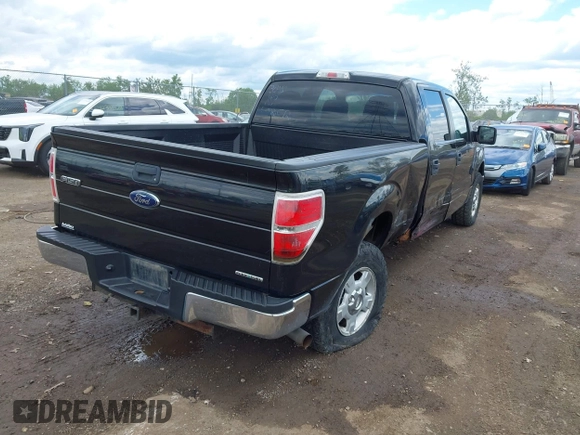 2013 Ford F-150 XL с VIN 1FTFW1EF3DFC14916, выставлен на аукционе IAAI как лот 42343813 с пробегом 217 069 миль миль и . История ставок и продаж доступна на DreamBid. Изображение 4.