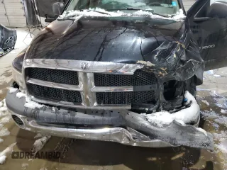 2002 Dodge 1500 with VIN 1D7HA16K52J247726, listed as a Copart auction lot 86604754 with Not Provided miles and Salvage Title. Bid and sale history available at DreamBid. Image 12.