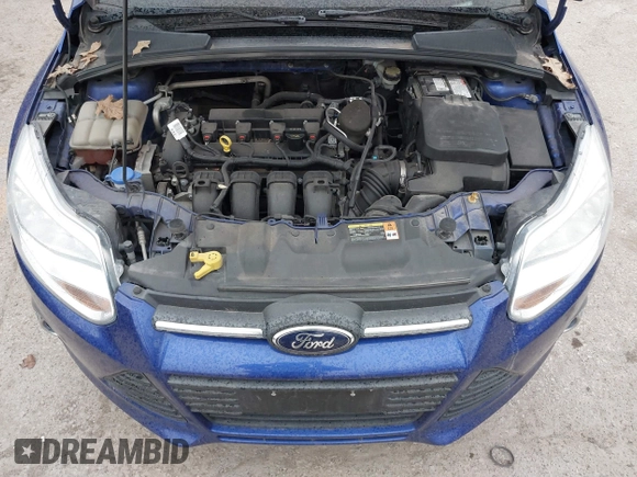 2014 Ford Focus SE with VIN 1FADP3K20EL213393, listed as a IAAI auction lot 41843091 with 125,279 mi miles. Bid and sale history available at carsss.com. Image 10.