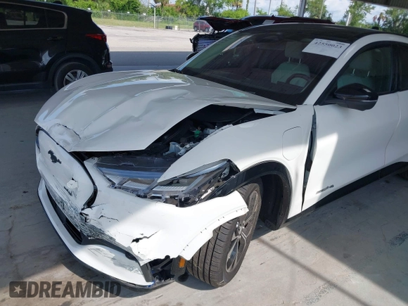 2021 Ford Mustang Mach-E Premium with VIN 3FMTK3SS7MMA25127, listed as a IAAI auction lot 42550023 with 40,590 mi miles and . Bid and sale history available at DreamBid. Image 6.