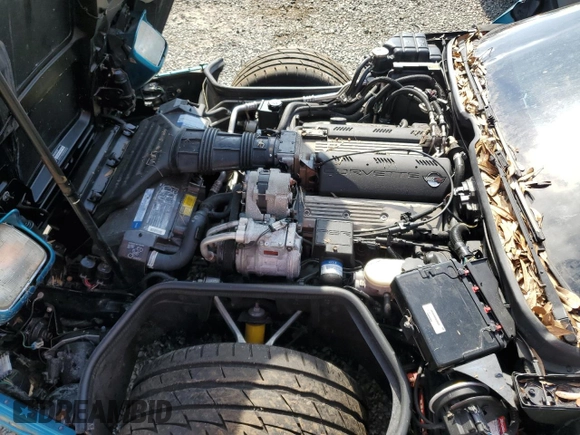 1992 Chevrolet Corvette with VIN 1G1YY23P1N5114172, listed as a Copart auction lot 44402695 with 0 mi miles and Salvage Title. Bid and sale history available at carsss.com. Image 11.