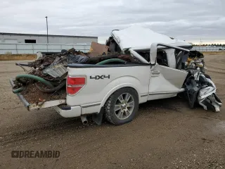 2013 Ford F-150 XL с VIN 1FTFW1ET1DFC71976, выставлен на аукционе Copart как лот 54771005 с пробегом Не указан миль и Списание • Salvage title. История ставок и продаж доступна на DreamBid. Изображение 3.