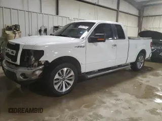 2010 Ford F-150 XL with VIN 1FTFX1CV7AKB71384, listed as a Copart auction lot 82047394 with 149,606 mi miles and Salvage Title. Bid and sale history available at carsss.com. Image 1.