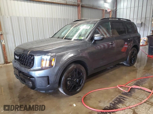 2024 Kia Telluride SX Prestige X-Line with VIN 5XYP5DGC2RG522580, listed as a Copart auction lot 54481275 with 14,066 mi miles and Salvage title. Bid and sale history available at DreamBid. Image 1.