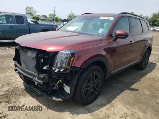 2023 Kia Telluride EX X-Line with VIN 5XYP3DGCXPG341343, listed as a Copart auction lot 60147165 with 29,990 mi miles and Salvage title. Bid and sale history available at DreamBid. Image 1.