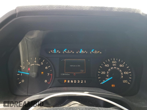 2017 Ford F-150 XL with VIN 1FTEX1C8XHKE23922, listed as a Copart auction lot 55617325 with 123,619 mi miles and Clean title. Bid and sale history available at DreamBid. Image 9.