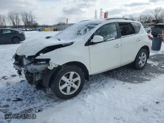 2010 Nissan Murano LE with VIN JN8AZ1MW8AW134658, listed as a Copart auction lot 45896465 with 137,943 mi miles and Salvage Title. Bid and sale history available at carsss.com. Image 1.