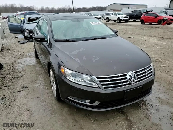 2013 Volkswagen CC Lux with VIN WVWRN7AN6DE523382, listed as a Copart auction lot 87489344 with 128,208 mi miles and Non Repairable. Bid and sale history available at carsss.com. Image 14.