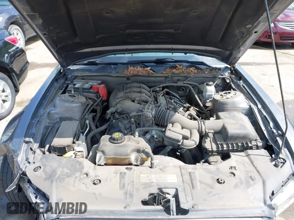 2014 Ford Mustang V6 с VIN 1ZVBP8AM5E5288545, выставлен на аукционе IAAI как лот 42494613 с пробегом 80 897 миль миль и . История ставок и продаж доступна на DreamBid. Изображение 10.