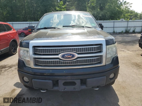 2010 Ford F-150 XL with VIN 1FTFW1EV9AFD28079, listed as a Copart auction lot 62614575 with 213,159 mi miles and Clean title. Bid and sale history available at DreamBid. Image 5.