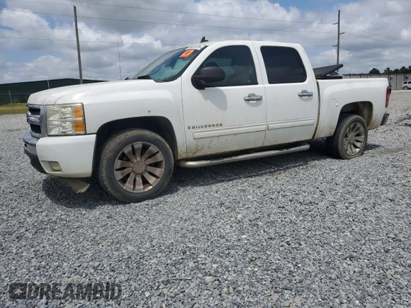 2009 Chevrolet Silverado 1500 LT with VIN 3GCEC23JX9G250447, listed as a Copart auction lot 55037225 with 261,782 mi miles and Clean Title. Bid and sale history available at carsss.com. Image 1.