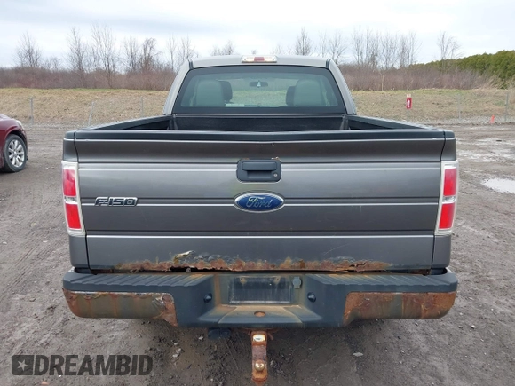 2010 Ford F-150 XL with VIN 1FTEX1E82AFA32002, listed as a IAAI auction lot 41874430 with 264,658 mi miles. Bid and sale history available at carsss.com. Image 16.
