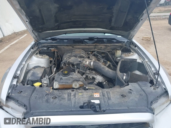 2014 Ford Mustang V6 с VIN 1ZVBP8AMXE5297192, выставлен на аукционе IAAI как лот 42231701 с пробегом Не указан миль и . История ставок и продаж доступна на DreamBid. Изображение 10.