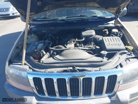 1999 Jeep Grand Cherokee Laredo with VIN 1J4GW58S4XC787702, listed as a IAAI auction lot 41663680 with 177,256 mi miles. Bid and sale history available at carsss.com. Image 10.