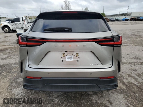 2024 Lexus NX 250 Premium with VIN 2T2GDCAZ4RC007758, listed as a Copart auction lot 79620224 with 12,845 mi miles and Salvage title. Bid and sale history available at DreamBid. Image 6.