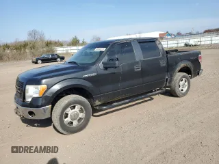 2010 Ford F-150 XL with VIN 1FTEW1E88AFA15255, listed as a Copart auction lot 53680375 with 235,281 mi miles and Clean Title. Bid and sale history available at carsss.com. Image 1.