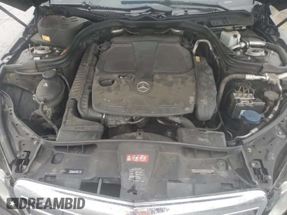 2013 Mercedes-Benz E 350 Luxury with VIN WDDHF8JB8DA691994, listed as a Copart auction lot 53941855 with 131,977 mi miles and Clean Title. Bid and sale history available at DreamBid. Image 11.