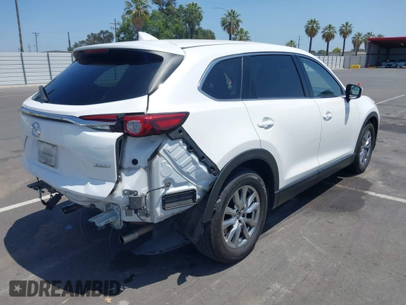 2019 Mazda CX-9 Touring with VIN JM3TCACY8K0300956, listed as a IAAI auction lot 42493003 with 123,709 mi miles and . Bid and sale history available at DreamBid. Image 4.