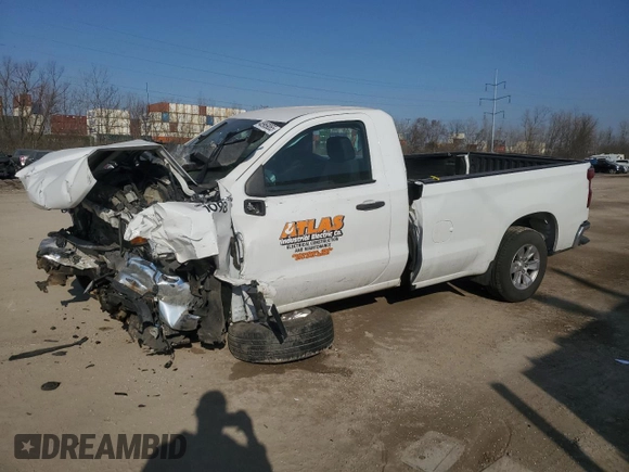 2019 Chevrolet Silverado 1500 Work Truck with VIN 3GCNWAEFXKG241621, listed as a Copart auction lot 48969065 with 115,000 mi miles and Salvage Title. Bid and sale history available at DreamBid. Image 1.