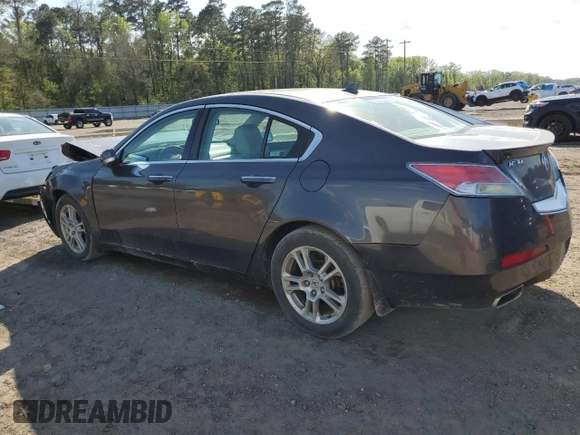 2009 Acura TL Tech with VIN 19UUA86589A001776, listed as a Copart auction lot 50307395 with 116,172 mi miles and Salvage Title. Bid and sale history available at carsss.com. Image 2.