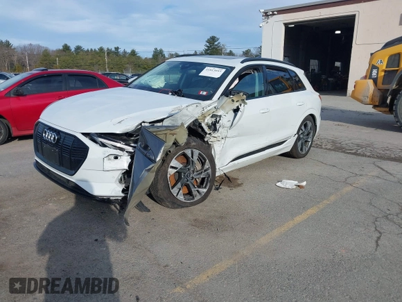 2022 Audi e-tron Premium z VIN WA1AAAGE2NB040546, wystawiony jako IAAI lot #41813053 z przebiegiem 47 002 mil mil oraz . Historia ofert i sprzedaży dostępna na DreamBid. Obrazek 17.