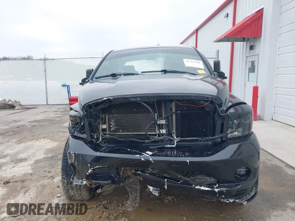 2008 Dodge 1500 SLT with VIN 1D7HU18268S618884, listed as a IAAI auction lot 41565100 with Not Provided miles and . Bid and sale history available at DreamBid. Image 6.