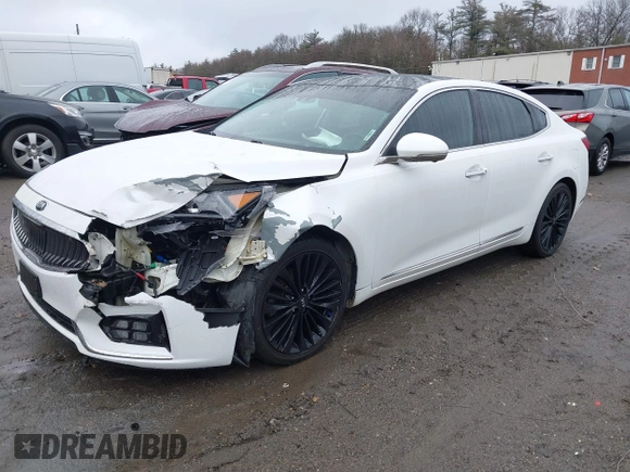 2018 Kia Cadenza Limited with VIN KNALC4J11J5099335, listed as a IAAI auction lot 41217994 with 55,335 mi miles. Bid and sale history available at carsss.com. Image 17.