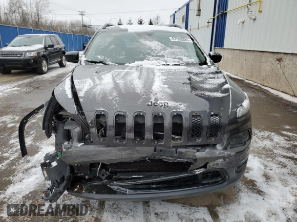 2016 Jeep Cherokee Altitude with VIN 1C4PJMAS3GW304630, listed as a Copart auction lot 87688685 with 127,465 mi miles and Salvage title. Bid and sale history available at DreamBid. Image 5.