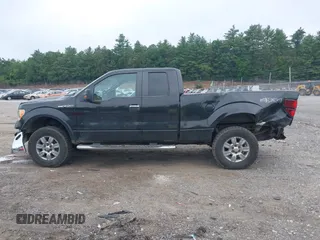 2010 Ford F-150 XL with VIN 1FTEX1E81AFA48403, listed as a IAAI auction lot 42499944 with 215,900 mi miles and . Bid and sale history available at DreamBid. Image 15.