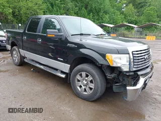 2012 Ford F-150 XL with VIN 1FTFW1ET1CFA91539, listed as a IAAI auction lot 42274516 with 162,946 mi miles and . Bid and sale history available at DreamBid. Image 1.