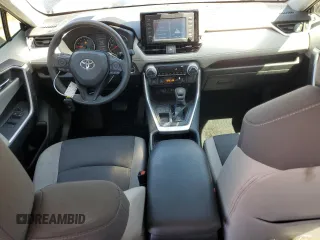2019 Toyota RAV4 XLE with VIN JTMW1RFV1KD512263, listed as a Copart auction lot 50361875 with 49,028 mi miles and Salvage Title. Bid and sale history available at carsss.com. Image 8.