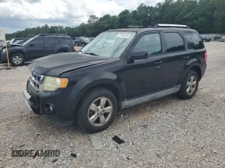 2010 Ford Escape Limited with VIN 1FMCU0E73AKD37125, listed as a Copart auction lot 59763495 with 203,823 mi miles and Salvage title. Bid and sale history available at DreamBid. Image 1.