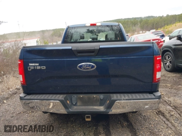 2015 Ford F-150 XL with VIN 1FTEX1CP1FKE96410, listed as a IAAI auction lot 41504551 with 96,145 mi miles. Bid and sale history available at carsss.com. Image 16.