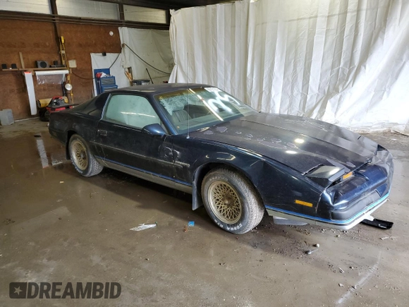 1987 Pontiac Firebird with VIN 1G2FS21S4HN213083, listed as a Copart auction lot 69101254 with 172,214 mi miles and Salvage title. Bid and sale history available at DreamBid. Image 4.