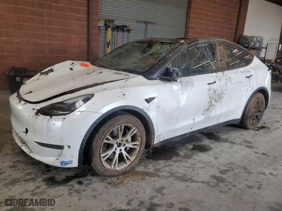 2021 Tesla Model Y Long Range with VIN 5YJYGDEE4MF196641, listed as a Copart auction lot 49305755 with 54,346 mi miles and Salvage Title. Bid and sale history available at carsss.com. Image 1.