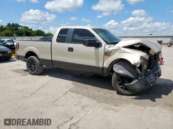 2009 Ford F-150 STX with VIN 1FTRX12W79KC78227, listed as a Copart auction lot 62272975 with 189,516 mi miles and Salvage title. Bid and sale history available at DreamBid. Image 4.