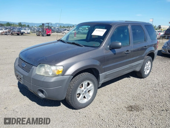 2006 Ford Escape XLT с VIN 1FMYU93166KB18305, выставлен на аукционе IAAI как лот 42316332 с пробегом 252 743 миль миль и . История ставок и продаж доступна на DreamBid. Изображение 2.